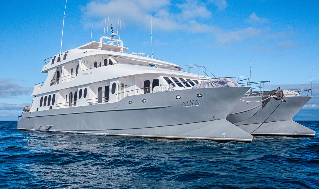  Diapositiva Exterior Alya Catamaran - Galagents