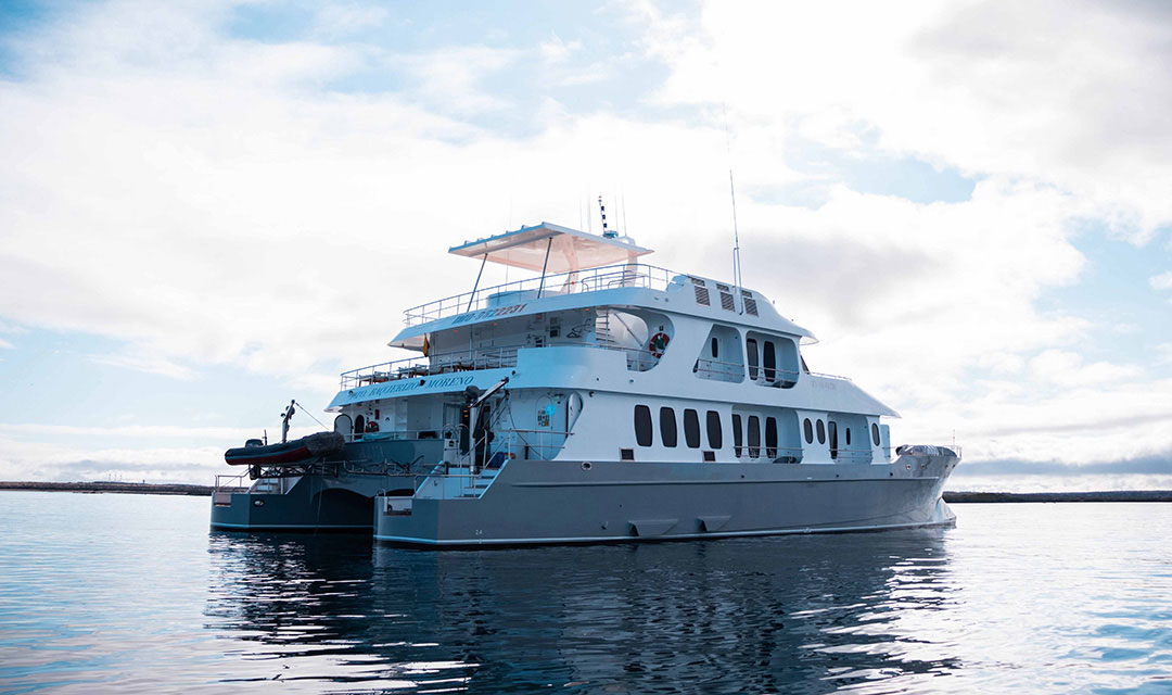  Diapositiva Exterior Alya Catamaran - Galagents